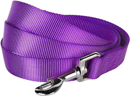 Blueberry Pet Essentials Dark Orchid Dog Leash for Medium - 5' * 3/4" Dogs | Heavy Duty Nylon Lead | Lightweight Puppy & Cat Leash for Walking & Training