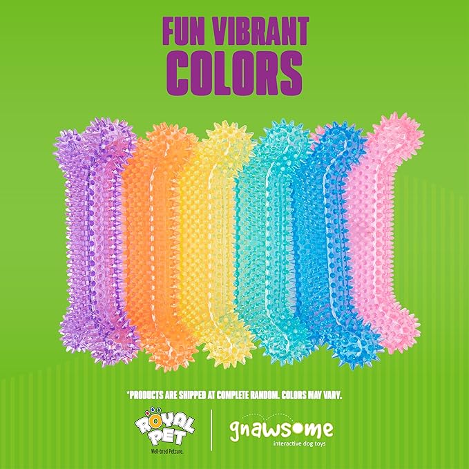Gnawsome Dog Toys - Mega Squeaker Bone - Dental & Gum Wellness - Stimulating Fun - Hidden Squeaker - Durable for Heavy Chewers - 100% BPA-Free - Assorted Colors