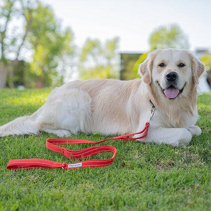 Shed Defender 5 ft. Standard Dog Leash - Three Padded Traffic Handles, Designed in The USA, Dual Layered Thickness Heavy Duty, Reflective Stitching, Large Dogs & Small Breed, Training Lead (Red)