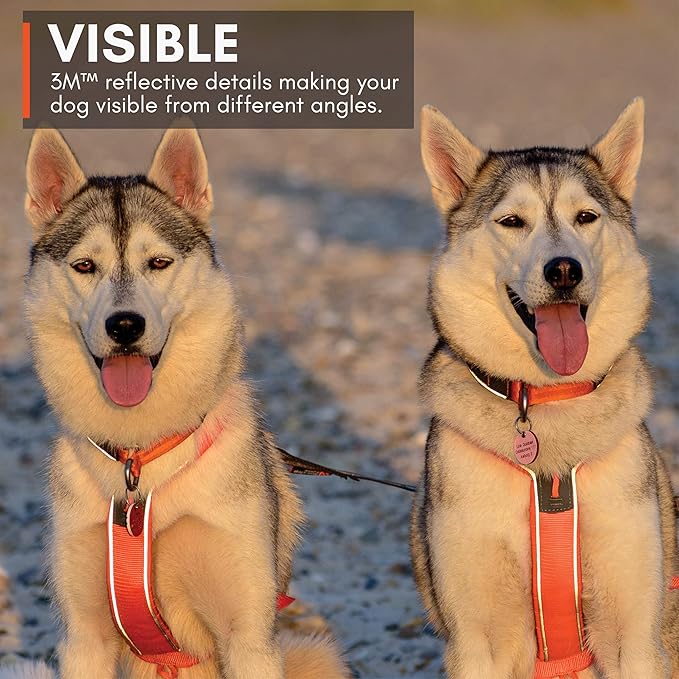 Non-stop dogwear Line Harness 5.0, Padded Dog Harness for Medium Dogs, Made for Hiking, Sport and Everyday Active Life with 3 Leash Clips, Reflectors and Ergonomic Fit, Orange, Size 4