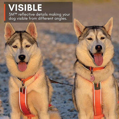 Non-stop dogwear Line Harness 5.0, Padded Dog Harness for Large Dogs, Made for Hiking, Sport and Everyday Active Life with 3 Leash Clips, Reflectors and Ergonomic Fit, Orange, Size 7