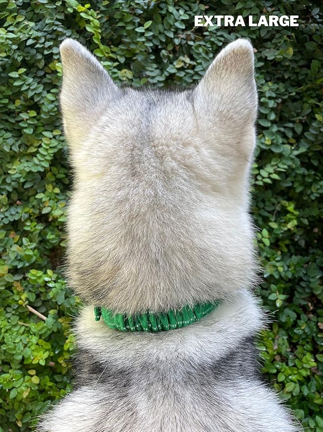 Tuff Pupper Heavy Duty Dog Collar with Handle | Ballistic Nylon Heavy Duty Collar | Padded Reflective Dog Collar with Adjustable Stainless Steel Hardware | Convenient Sizing for All Breeds