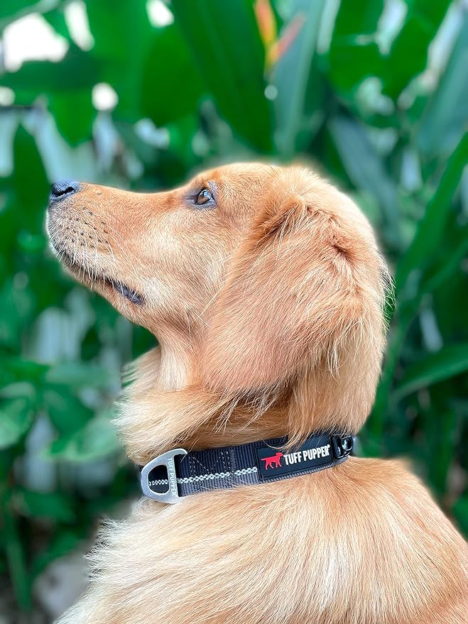 Tuff Pupper Heavy Duty Dog Collar | Tough Dogs Collar | Reflective Collars with Aluminum D-Ring Leash Clip | Separate ID Tag Attachment Keeps Engraved Dog Tags Quiet | Easy Sizing for All Breeds