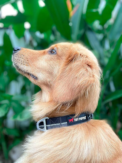 Tuff Pupper Heavy Duty Dog Collar | Tough Dogs Collar | Reflective Collars with Aluminum D-Ring Leash Clip | Separate ID Tag Attachment Keeps Engraved Dog Tags Quiet | Easy Sizing for All Breeds