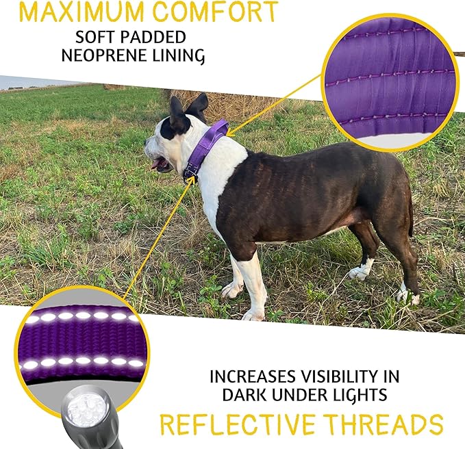 ADITYNA Heavy Duty Dog Collar – Reflective Purple Tactical Collar with Handle – Fits Extra-Large Dogs (24–30" Neck) – Wide, Thick, Soft Neoprene Padded