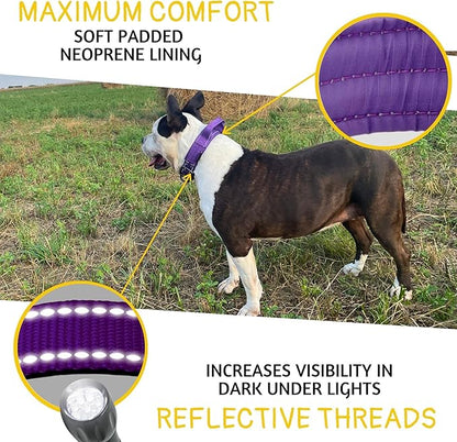 ADITYNA Heavy Duty Dog Collar – Reflective Purple Tactical Collar with Handle – Fits Extra-Large Dogs (24–30" Neck) – Wide, Thick, Soft Neoprene Padded