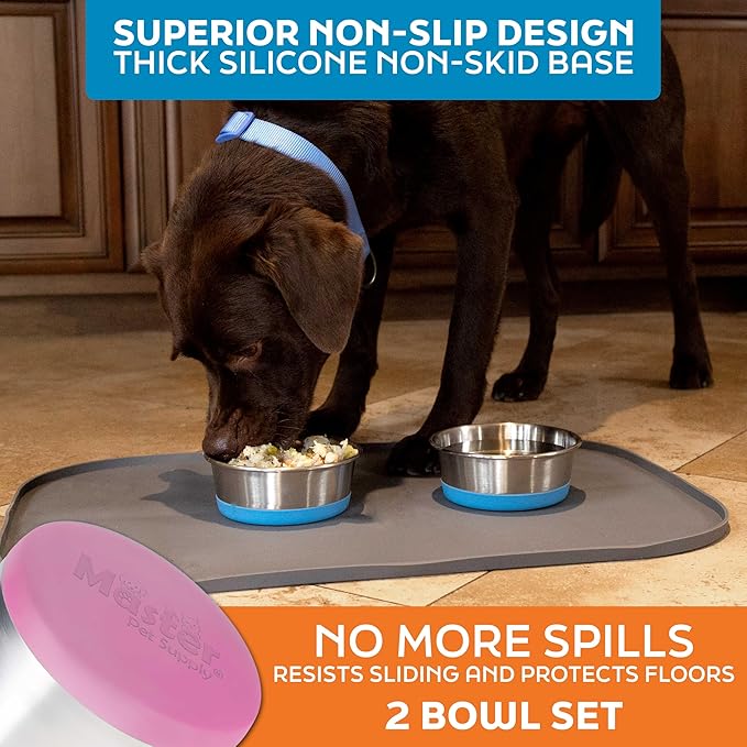 Master Pet Supply Stainless Steel Dog Bowls Set of 2 with Extra Thick Silicone Base - 4 Cup (32 oz) Hyper Pink, Non-Slip, Dishwasher Safe Metal Bowls, Pet Dog Food Bowl for Dogs, Cats, Anti Rust