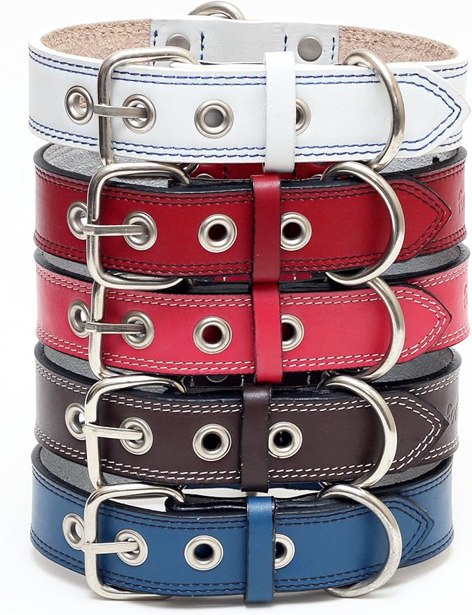 Premium Leather Collars with Stainless Steel Buckles (21"-24", White)