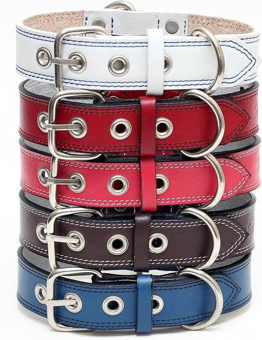 Premium Leather Collars with Stainless Steel Buckles (21"-24", White)