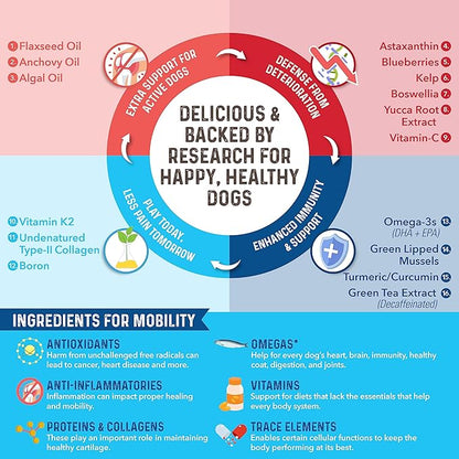 Bernie's Marvelous Mobility - Daily Total Joint Support for Dogs - 90 Soft Chews - Maintain & Rebuild Mobility, Supports Joint Tissue Health