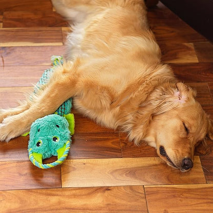 Outward Hound Ropiez Rope Interactive Dog Tug Toy for Tugging Squeaky Fun, 21 Inch Dragon, Blue, Medium