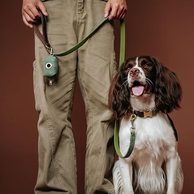 Didog Soft PU Leather Dog Collar for Large Dogs,Classic Adjustable Dog Collars with Quick Release Metal Buckle,Easy Clean and Comfortable with Nylon Lining,Green,L Neck 16-23"