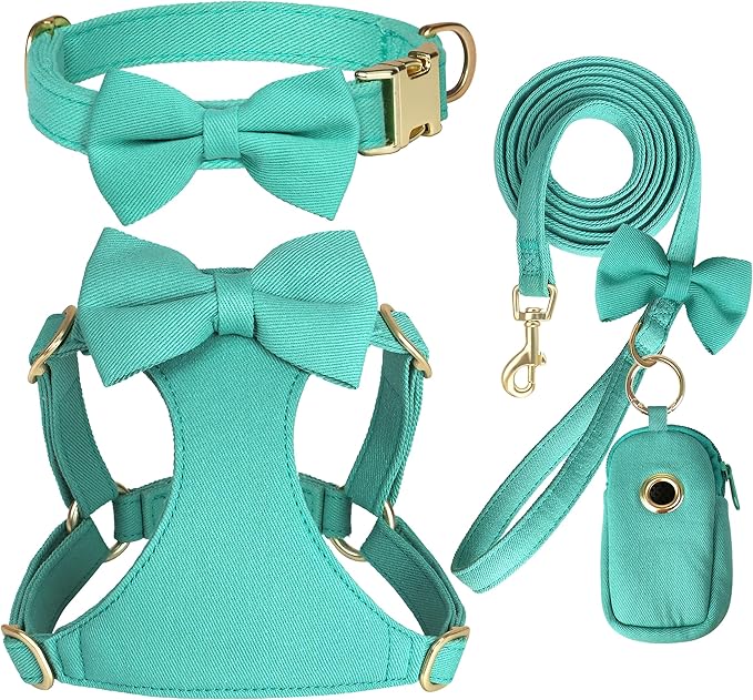 Beirui Adorable Small Dog Harness Collar Leash Set,Cute Puppy Harness with 3 Bows for XS Dogs,Yorkie,Adjustable Step-in Vest for Walking,Parties&Holiday Outfits(Teal,XS)