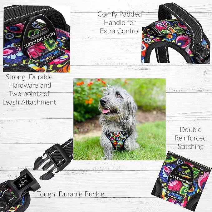 Lucky Love Dog No Pull Dog Harness, Adjustable and Easy to Walk, Cute Patterned Harness for Small Medium Large Male & Female Dogs - Blackbird, XS