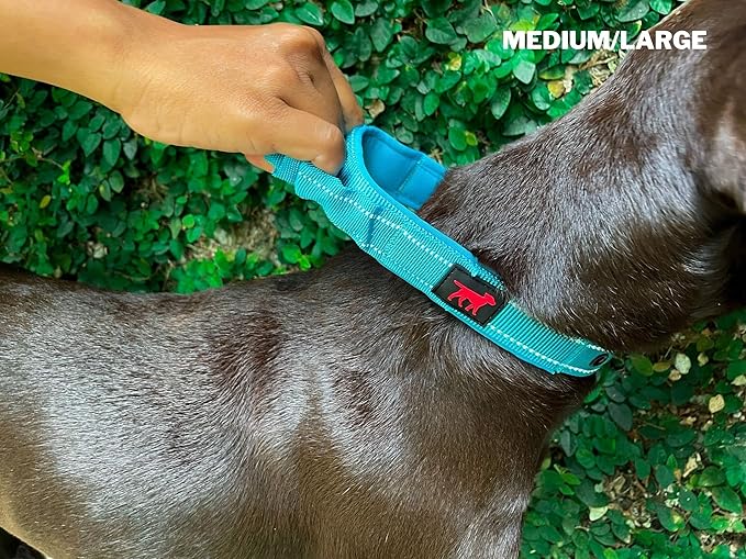 Heavy Duty Dog Collar With Handle | Ballistic Nylon Heavy Duty Collar | Padded Reflective Dog Collar With Adjustable Stainless Steel Hardware | Convenient Sizing for All Breeds
