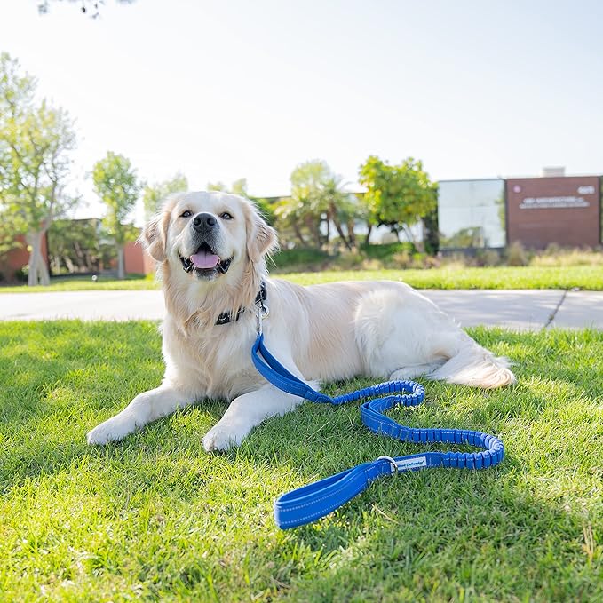 Shed Defender Shock Absorbing Bungee Leash - Three Padded Traffic Handles, Designed in The USA, Stretches 4-7ft, Elastic Dog Leash, Reflective Stitching, Large Dog & Small Breed, Heavy Duty, Blue