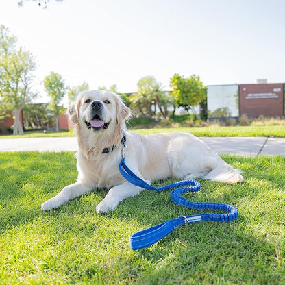 Shed Defender Shock Absorbing Bungee Leash - Three Padded Traffic Handles, Designed in The USA, Stretches 4-7ft, Elastic Dog Leash, Reflective Stitching, Large Dog & Small Breed, Heavy Duty, Blue