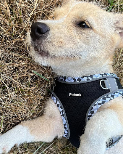 Petank Dog Harness for Small Medium Dogs No Pull, Puppy Harness and Leash Set,Step in Dog Harness for Walking, Running, Training, Small Dog Vest(Black, XXS)
