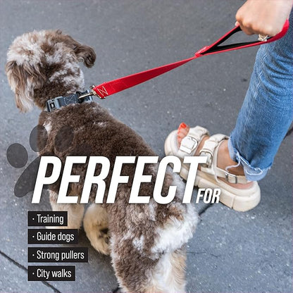 Leash Boss Short Dog Leash With Padded Traffic Handle for Training and Walking | Comfortable Nylon Lead for Large, Medium, Small Dogs