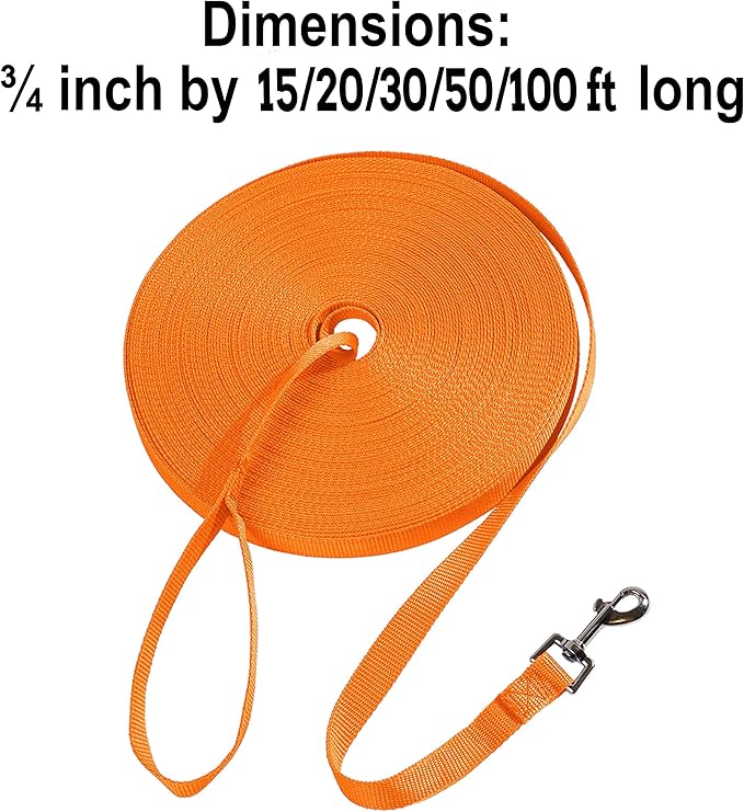 Hi Kiss Dog/Puppy Obedience Recall Training Agility Lead - 15ft 20ft 30ft 50ft 100ft Leash - Great for Play, Camping, or Backyard - Orange 30ft