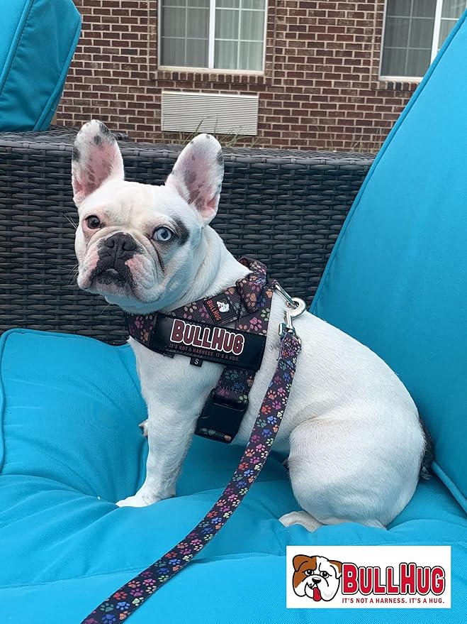 BULLHUG 6 FT Bulldog Leash with Padded Handle. Perfect for Bulldogs, French Bulldogs, Pugs & All Breeds. Leashes for Walking, Training Lead for Bulldogs (Reflective Stitching, Black)