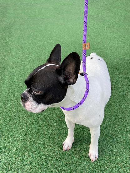 5 FT Slip Lead, Heavy Duty Rope Leash for Small to Large Dogs, No Pull Training Lead with Reflective Thread, Strong Comfortable Loop (Purple Stripe, Medium(3/8"))