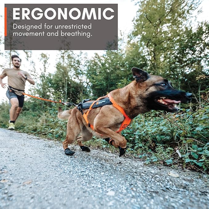 Non-stop dogwear Freemotion Harness 5.0 Dog Pulling Harness for Sports Like Running, Biking and Skiing with Dogs, Professional Adjustable Dog Harness, Blue/Gray, Size 8