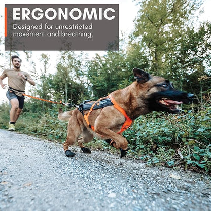 Non-stop dogwear Freemotion Harness 5.0 Dog Pulling Harness for Sports Like Running, Biking and Skiing with Dogs, Professional Adjustable Dog Harness, Blue/Gray, Size 8