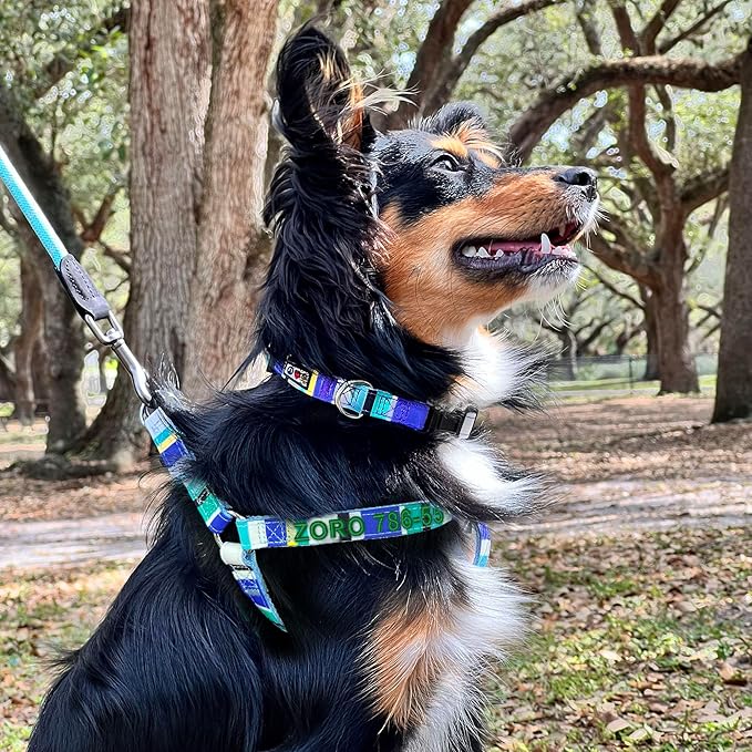 Pawtitas Personalized Dog & Puppy Harness Small Blue/Teal/Yellow Custom ID Tag Adjustable No Pull Vest