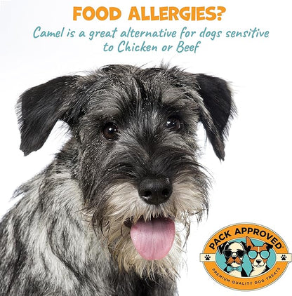 Camel Skin Dog Chews for Aggressive Chewers - Hypoallergenic Natural Collagen Sticks for Dental Health & Protein Boost - Long Lasting Treats for Small & Medium Dogs