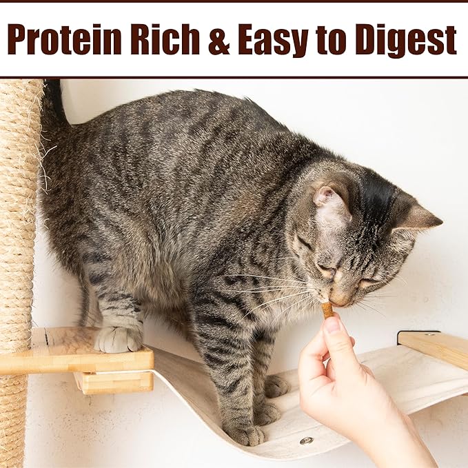 Fieldcrest Farms Nothin’ to Hide Collagen Cat Treats – Crunchy & Creamy Cat Snacks, High-Protein Healthy Treats for Skin, Coat & Joint Support, Salmon Flavor, 8 oz. Resealable Tub