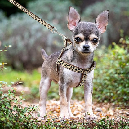 Mile High Life Leopard Dog Harness Collar Leash Set, Adjustable No Pull Dog Halter Harness for Small Breed Dogs, Easy Control for Training Walking (Brown, XS Chest 9"-15", Neck 8"-12")