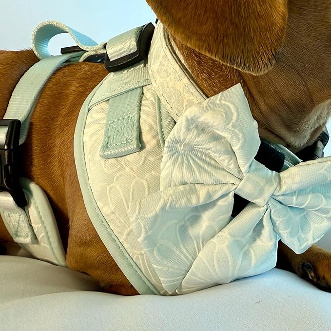 Large Dog Collar and Harness Set – No Pull, All-Weather, Breathable Harness & Leash Set with Collar, Bandana, Sailor Bow & Poop Bag Holder – Adjustable & Soft - Divine Petals on Jacquard Fabric