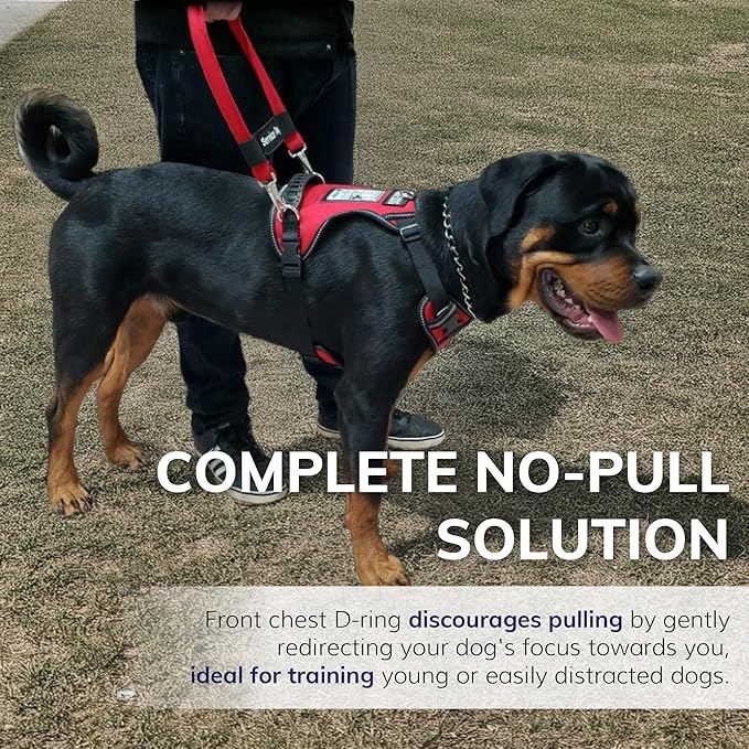 ActiveDogs No Pull Harness - Adjustable Service Dog Vest for XL Dogs, Red, 31"-44" with Patch, Control Handle, ID Window, D-Rings & Reflective Padding
