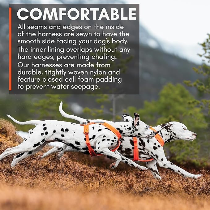 Non-stop dogwear Line Harness 5.0, Padded Dog Harness for Medium Dogs, Made for Hiking, Sport and Everyday Active Life with 3 Leash Clips, Reflectors and Ergonomic Fit, Orange, Size 6  