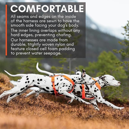 Non-stop dogwear Line Harness 5.0, Padded Dog Harness for Medium Dogs, Made for Hiking, Sport and Everyday Active Life with 3 Leash Clips, Reflectors and Ergonomic Fit, Orange, Size 6  