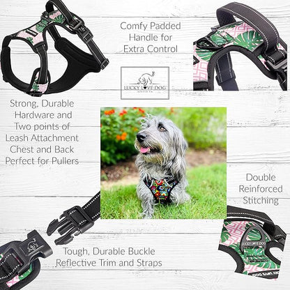 Lucky Love Dog No Pull Dog Harness, Adjustable and Easy to Walk, Cute Patterned Harness for Small Male & Female Dogs - Laguna, XS