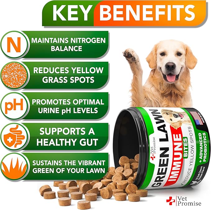 Vet Promise Grass Burn Spot Chews - Dog Urine Neutralizer for Lawn - 120 Grass Green Treats, Rocks - Pee Grass Spot Saver Caused by Dog Urine - Probiotics - Digestive Enzymes - Made in USA