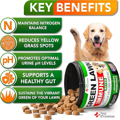 Vet Promise Grass Burn Spot Chews - Dog Urine Neutralizer for Lawn - 120 Grass Green Treats, Rocks - Pee Grass Spot Saver Caused by Dog Urine - Probiotics - Digestive Enzymes - Made in USA