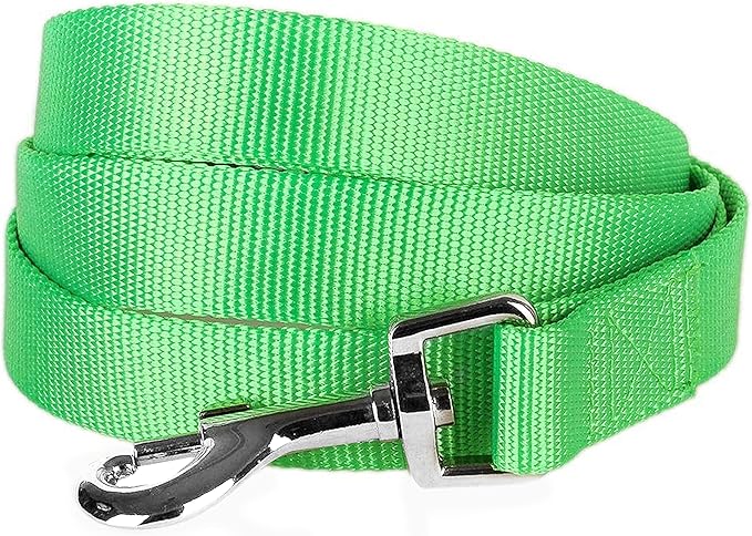 Blueberry Pet Essentials Neon Green Dog Leash for X-Small -5' * 3/8" Dogs | Heavy Duty Nylon Lead | Lightweight Puppy & Cat Leash for Walking & Training