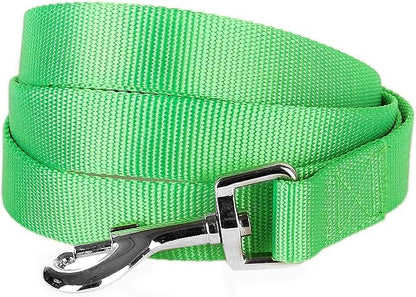 Blueberry Pet Essentials Neon Green Dog Leash for X-Small -5' * 3/8" Dogs | Heavy Duty Nylon Lead | Lightweight Puppy & Cat Leash for Walking & Training
