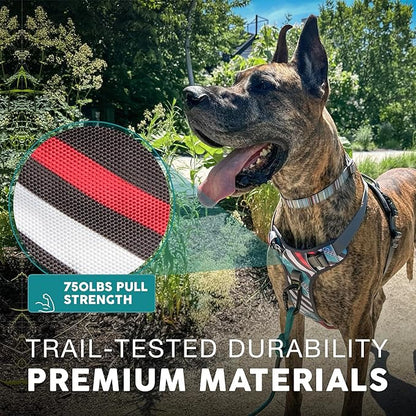Embark Adventure Dog Harness, Reflective Trim XL Dog Harness for Extra Large Dogs No Pull - Military Grade Nylon, 2 Leash Clips & Gel Lined Handle.