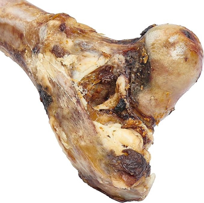 EcoKind Premium Giant Mastedon Femur for Dogs | 1 Giant Bone | All Natural for Large Dogs and Aggressive Chewers