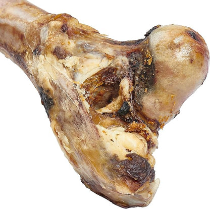 EcoKind Premium Giant Mastedon Femur for Dogs | 1 Giant Bone | All Natural for Large Dogs and Aggressive Chewers