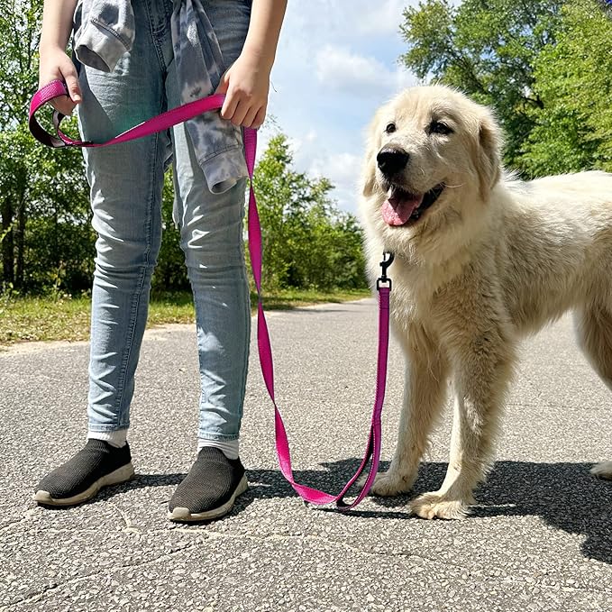 Joytale Dog Leash Heavy Duty for Large Dogs That Pull, Double Handle for Traffic Control, Double-Sided Reflective Leashes for Large Medium Dogs Night Safety, 4FT, Hot Pink