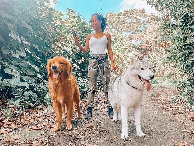 Tuff Pupper Heavy Duty Hands Free Bungee Dog Leash | Two Large Dogs Up to 250 lbs | Comfortable Shock Absorbing Bungee | Reflective Dual Padded Handles | Lumbar Waist Belt 26-38" | 360° Swivel Clips