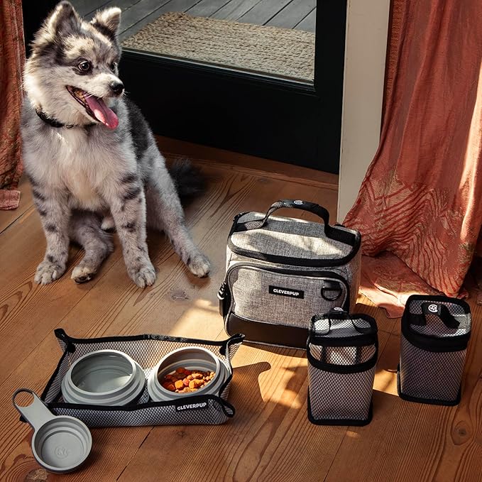 Cleverpup, Small 7-Piece Bistro Box Dog Food Travel Kit, 6-Cup Kibble Storage, 2 Silicone Bowls, Mat & Scoop - Premium Portable Pet Food Kit for Weekends, Overnights, Daycare & Camping, Heather Grey
