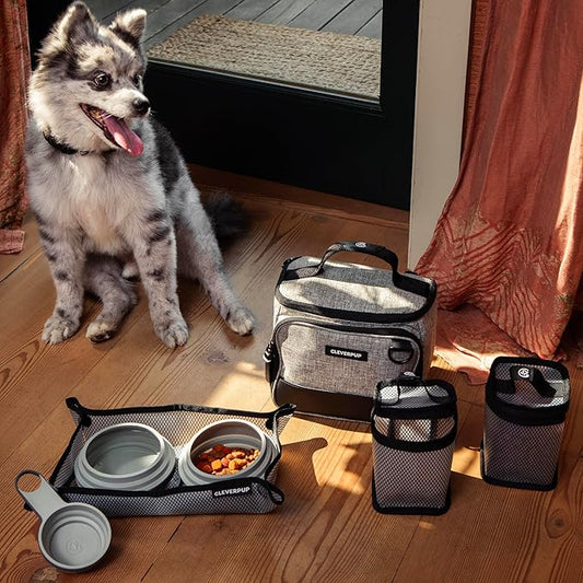 Cleverpup, Small 7-Piece Bistro Box Dog Food Travel Kit, 6-Cup Kibble Storage, 2 Silicone Bowls, Mat & Scoop - Premium Portable Pet Food Kit for Weekends, Overnights, Daycare & Camping, Heather Grey