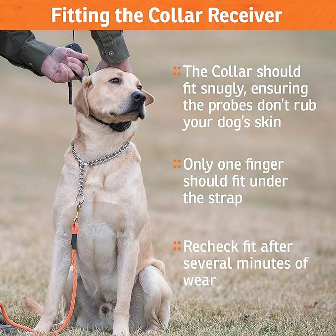 SportDOG NoBark SBC-8 - Lightweight Progressive Bark Correction Collar - Helps Discourage Nuisance Barking - Multiple Static Correction Levels