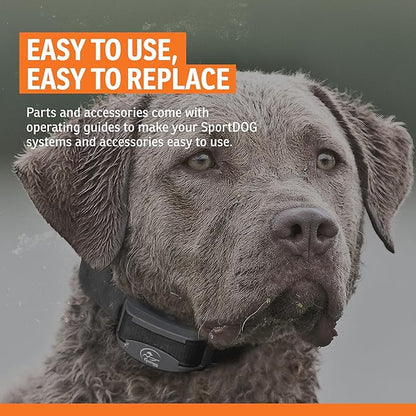 SportDOG Brand Long Contact Points – 5/8 Inch Replacement Probes E-Collars - Longer Length for Thick Coats